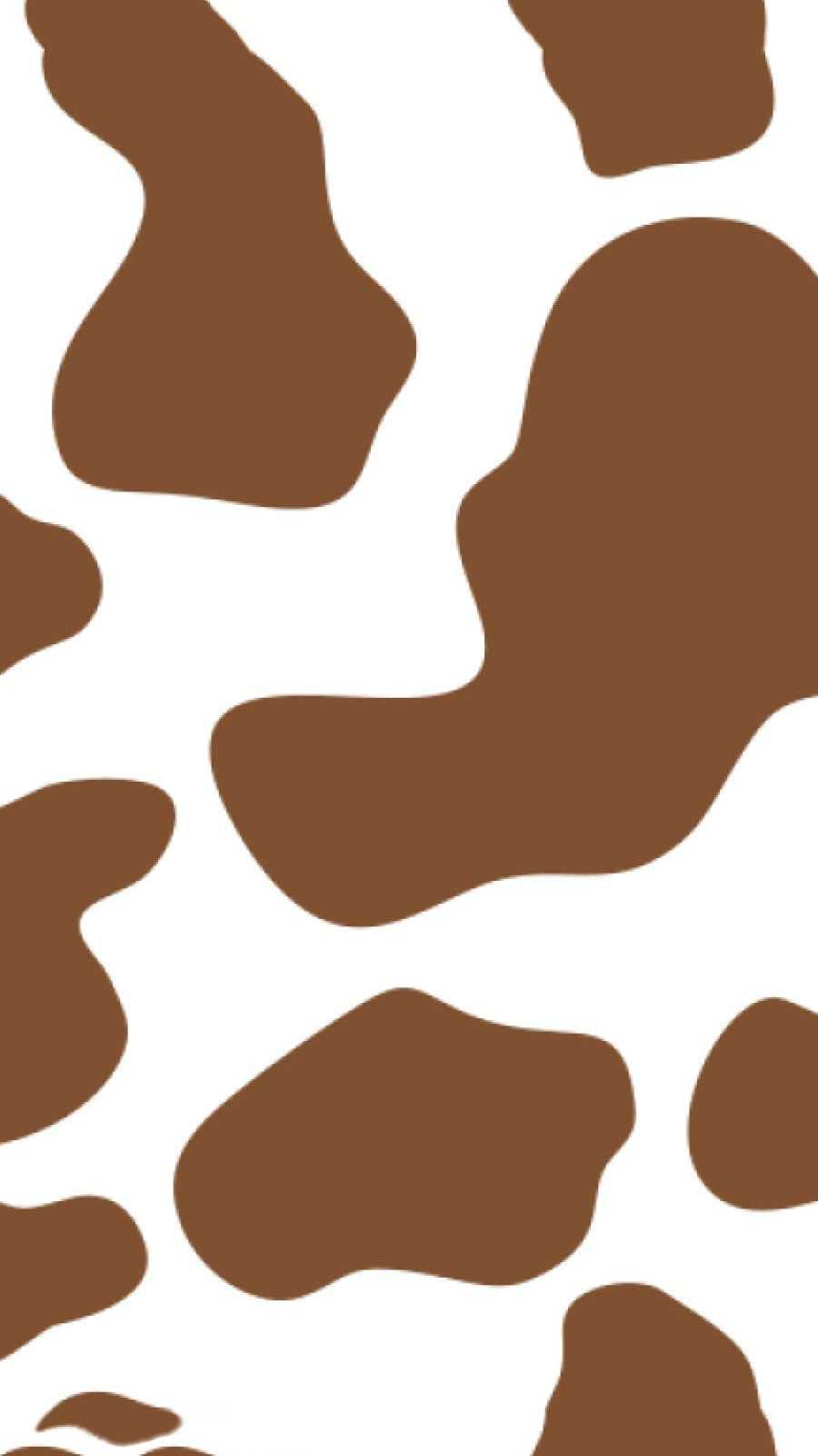 Brown Cow Print Notebook School Notebook Cow Print Journal Brown White  Pattern 8x115  Amazonin कतब