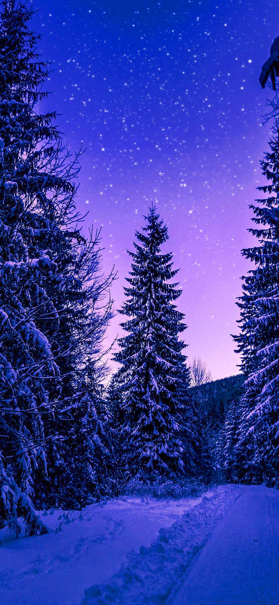 Winter Wallpapers