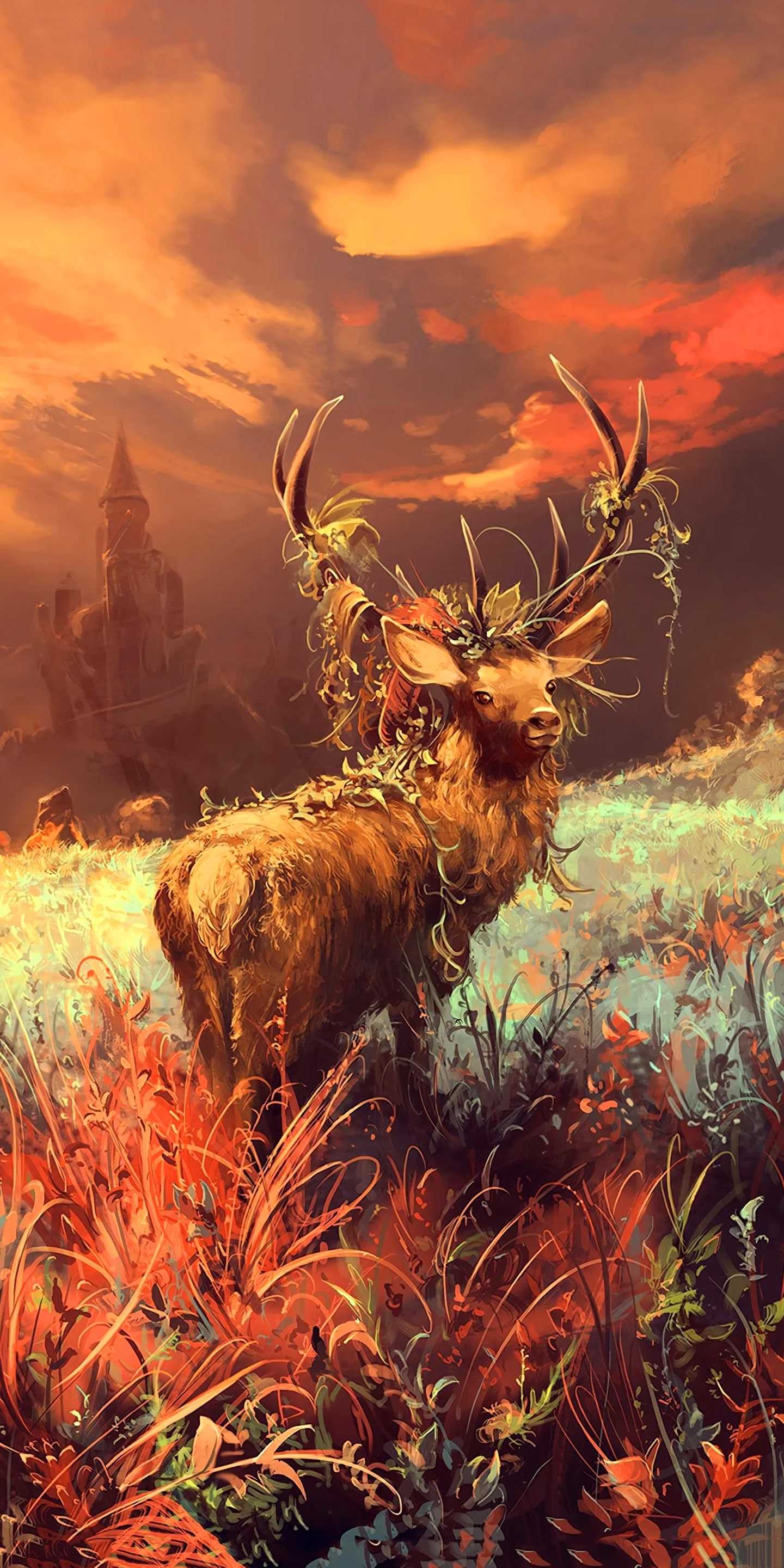 Deer Wallpapers