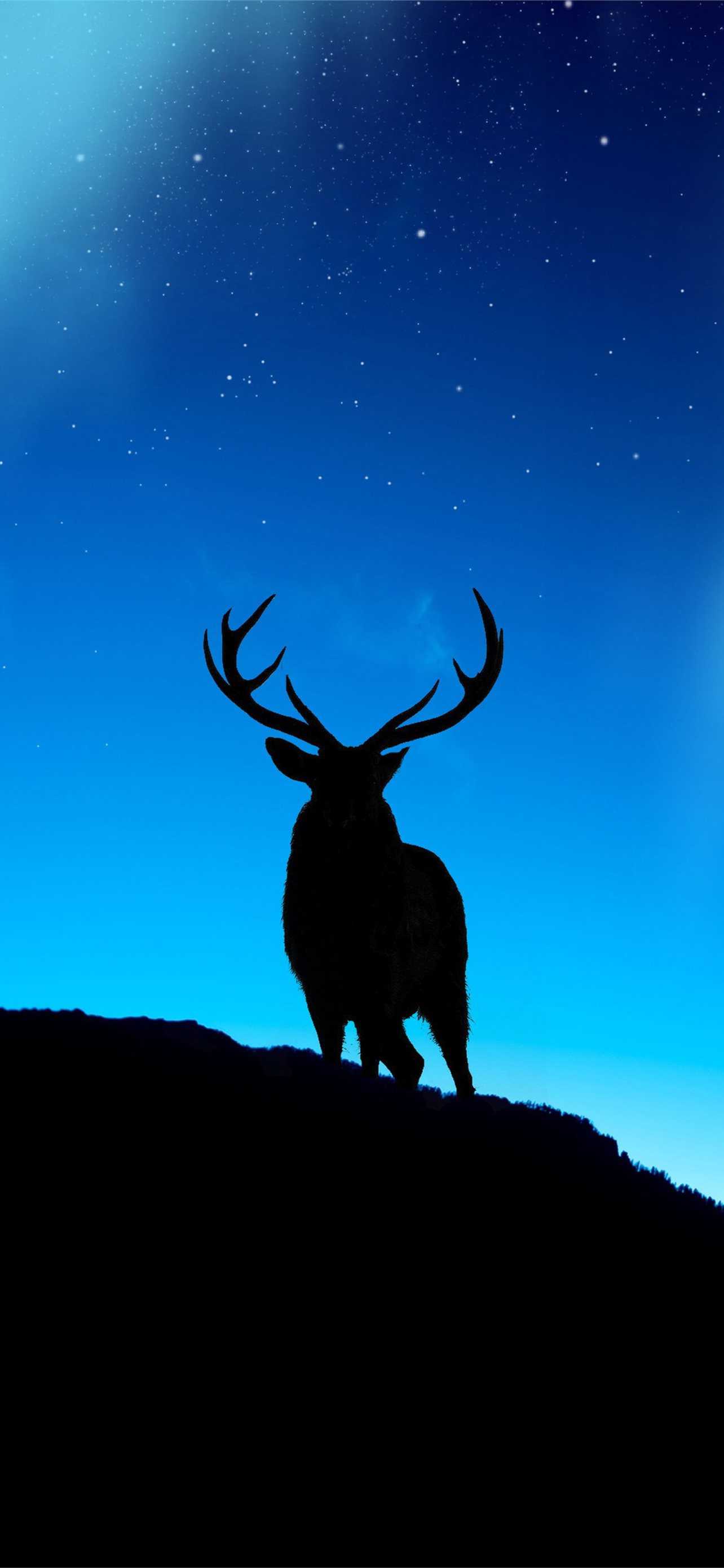 Deer Wallpapers