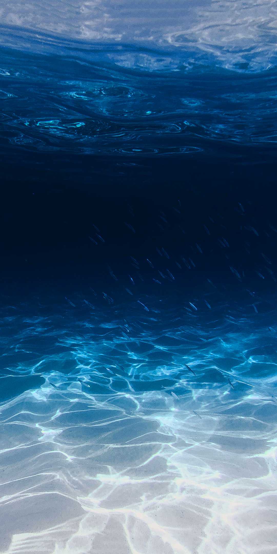 Ocean Wallpapers