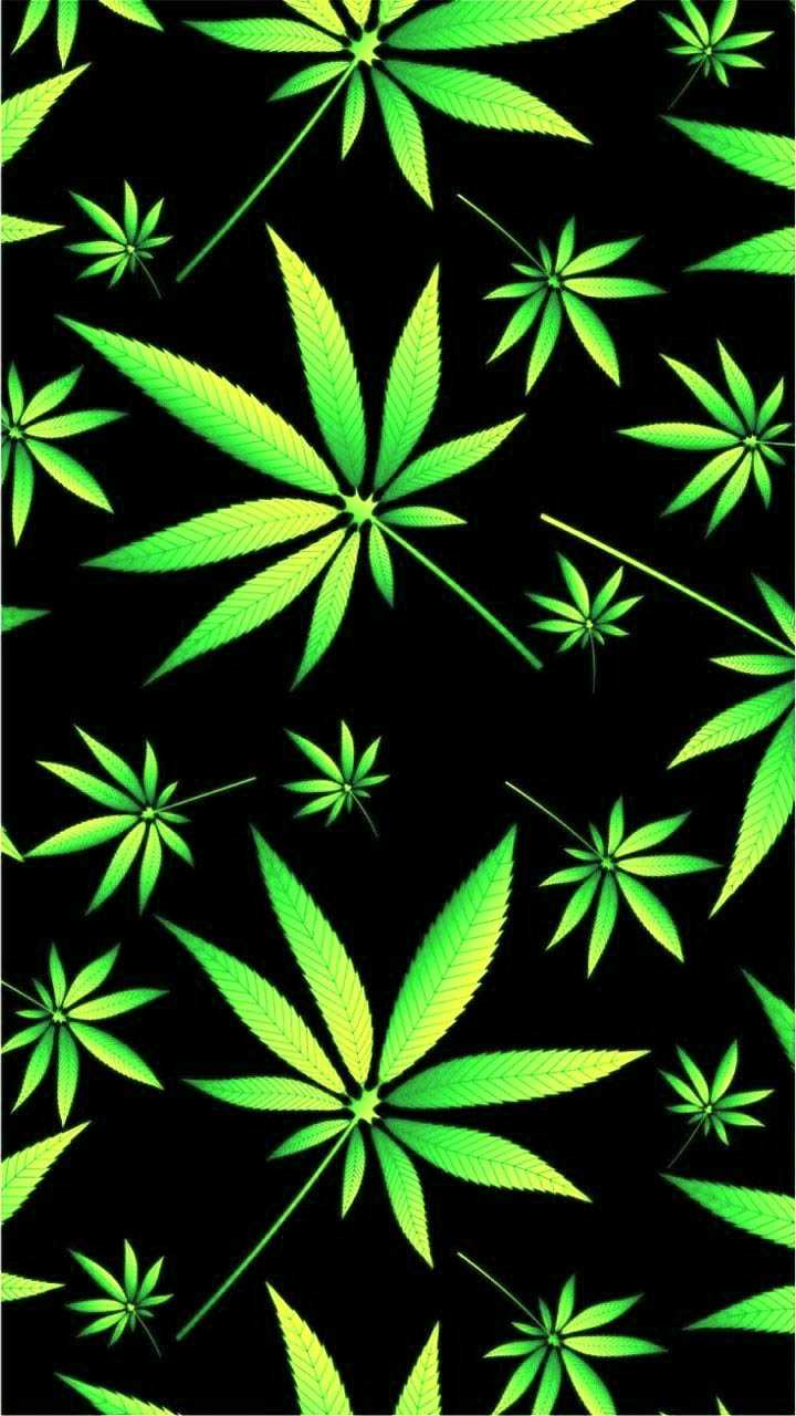 Weed Wallpapers