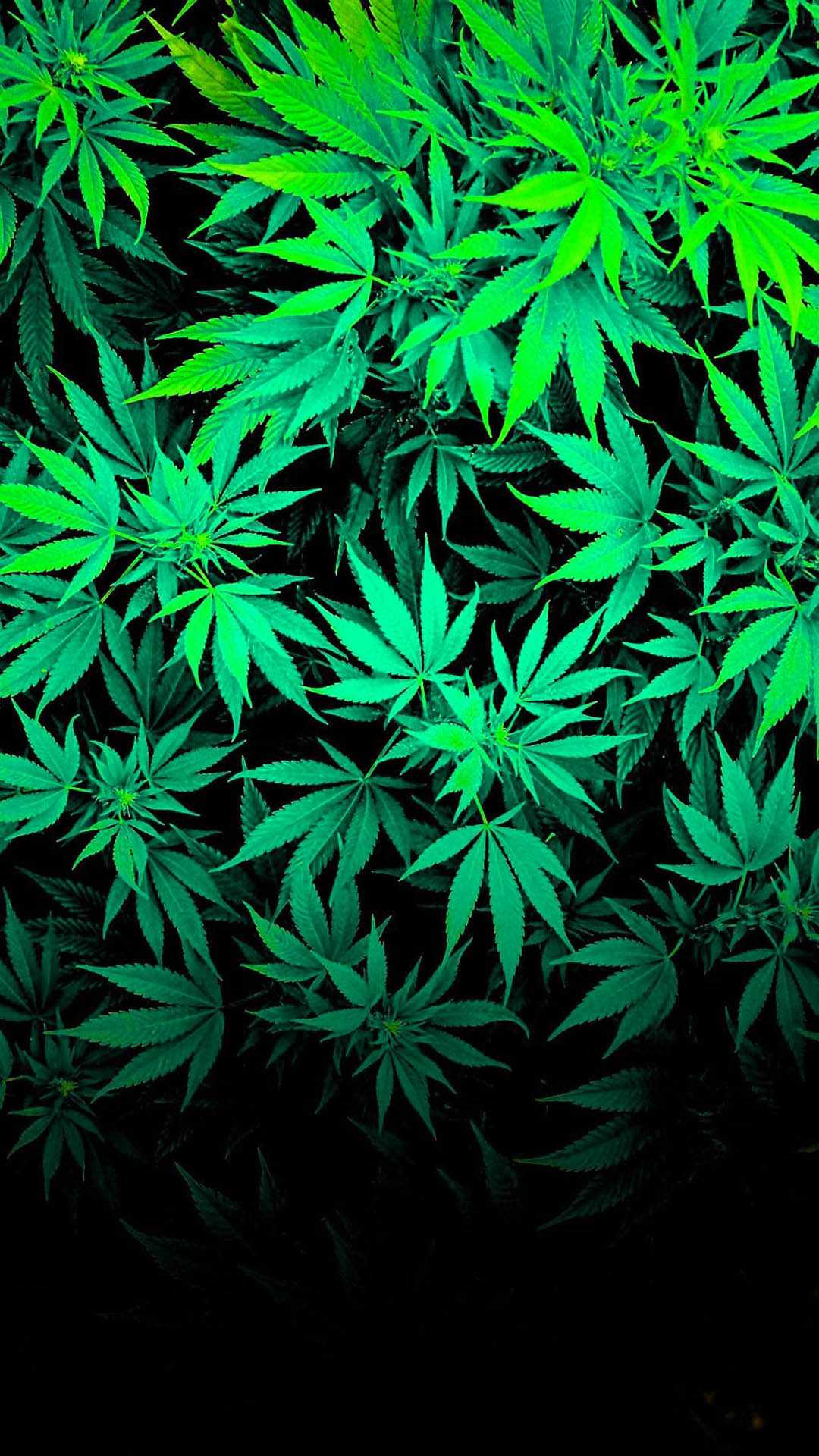 Weed Wallpapers