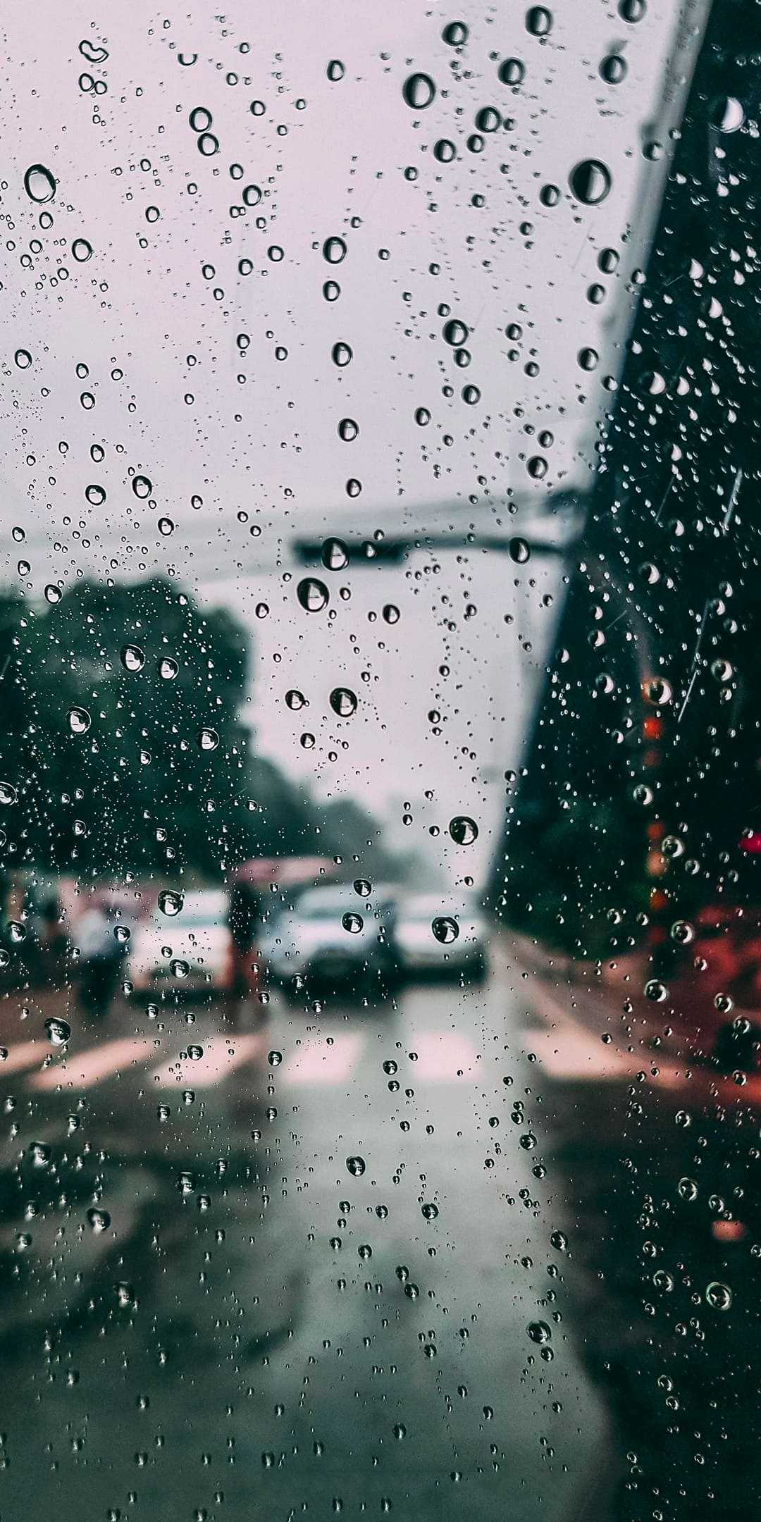 Rain Wallpapers