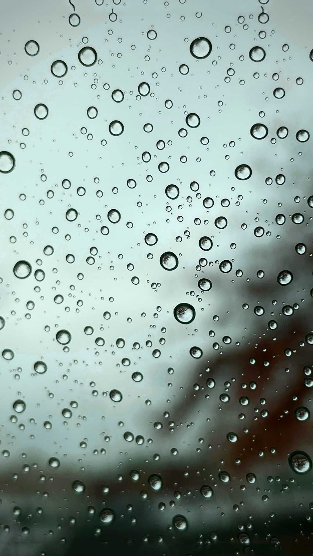 Rain Wallpaper - TubeWP