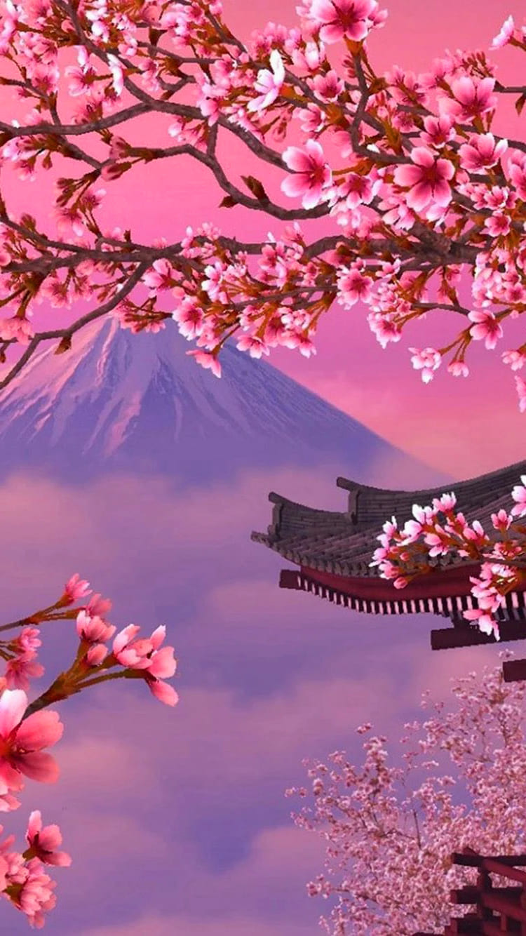 Cherry Blossom Wallpaper - TubeWP Cherry Blossom Wallpaper - TubeWP