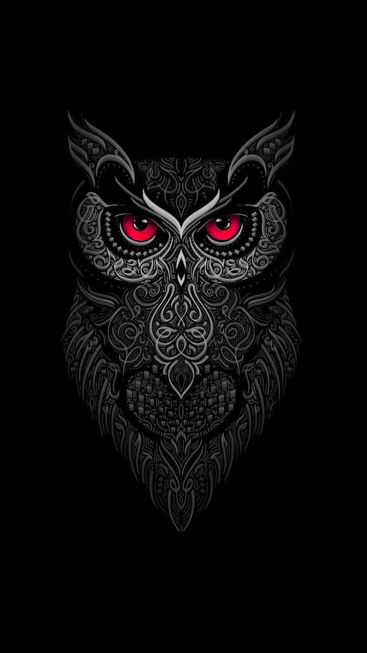 Owl Wallpapers