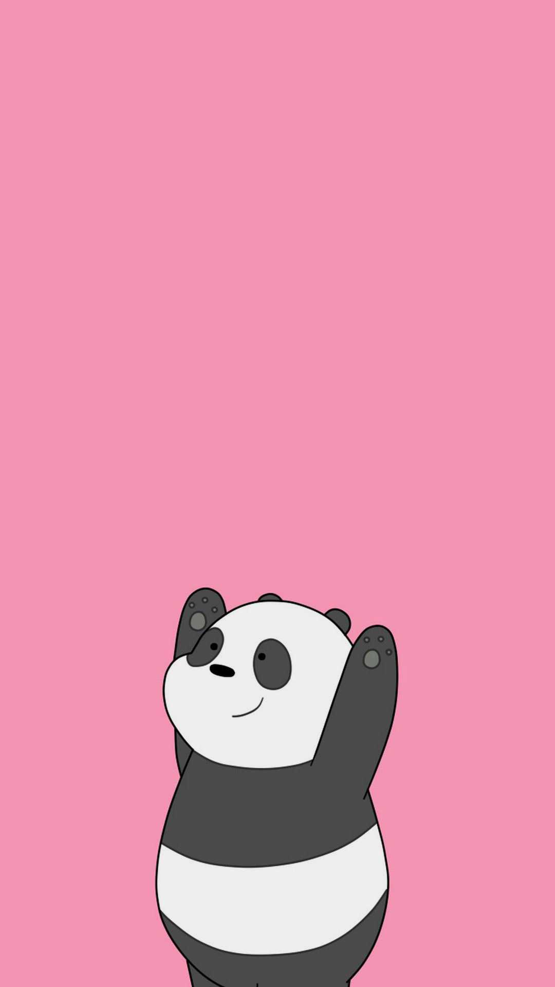 Panda Wallpapers