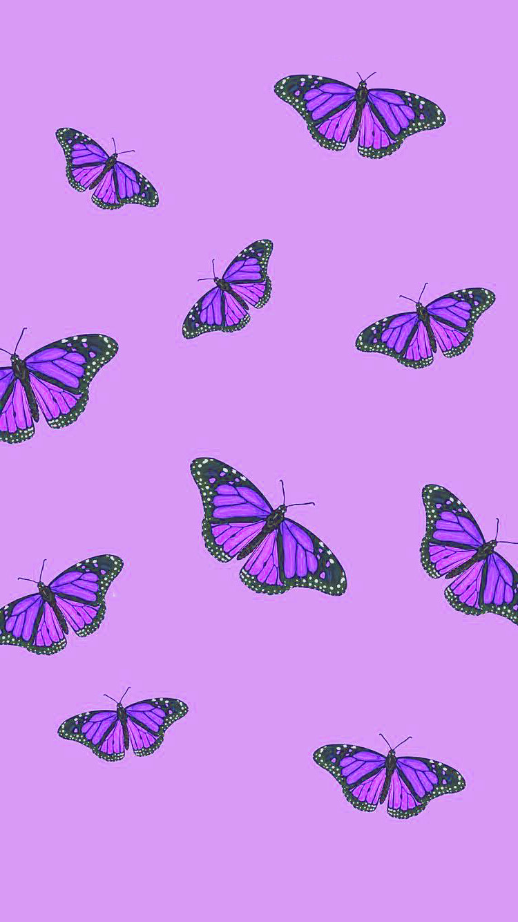 Lilac Wallpapers