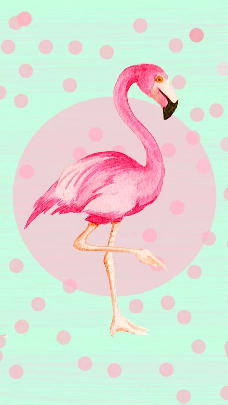 Flamingo Wallpapers