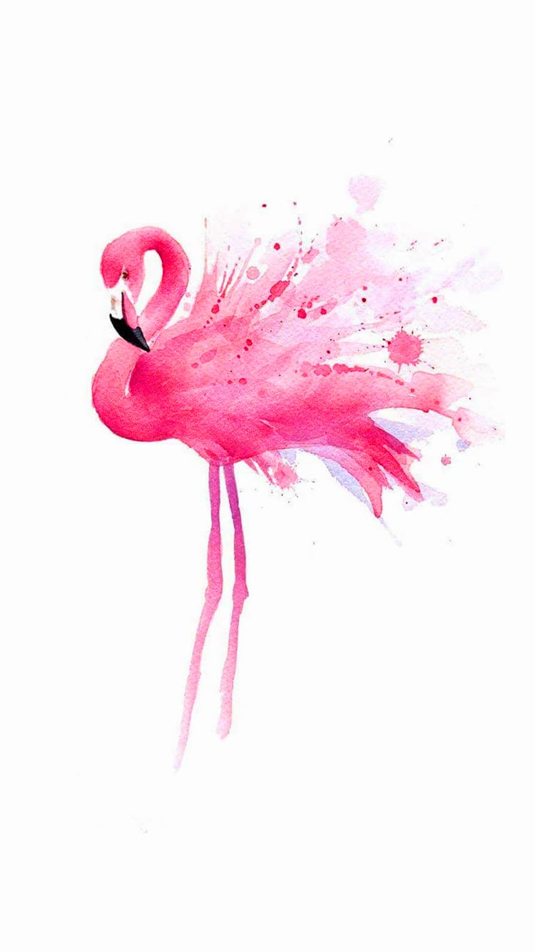 Flamingo Wallpapers