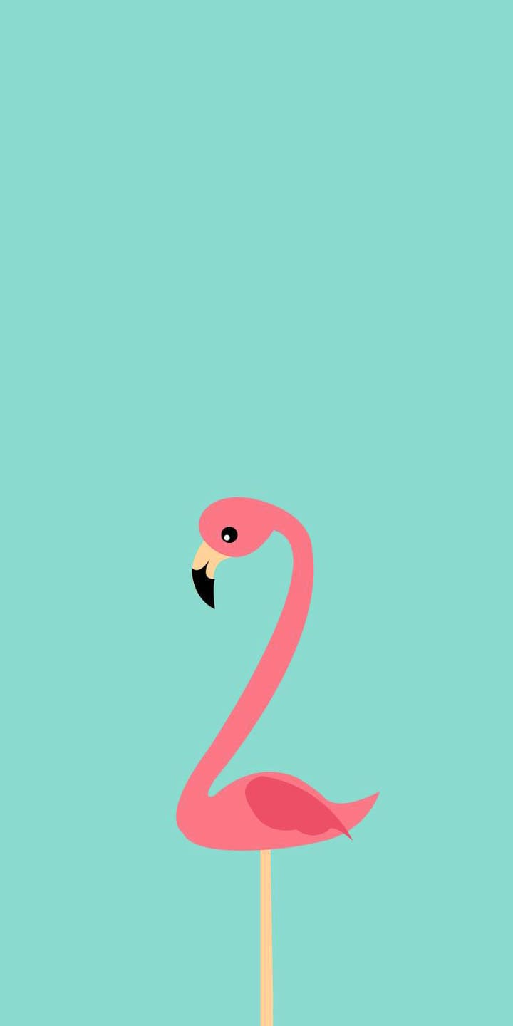 Flamingo Wallpapers