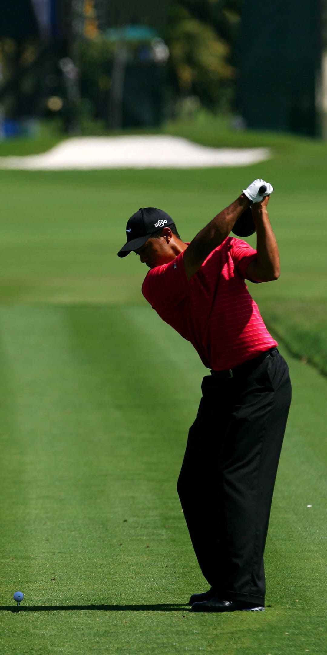 Tiger Woods Wallpapers