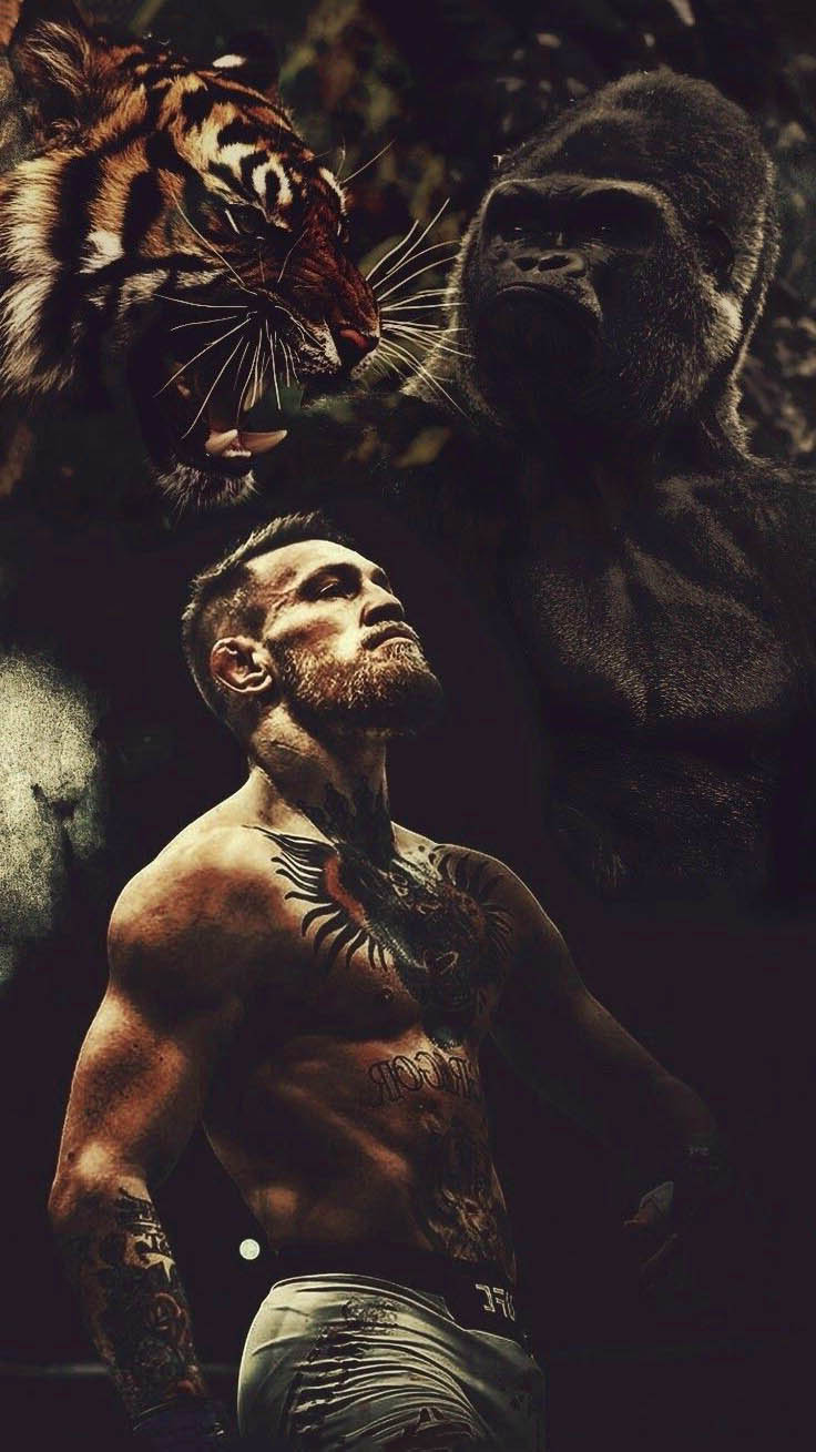 Conor McGregor Wallpapers