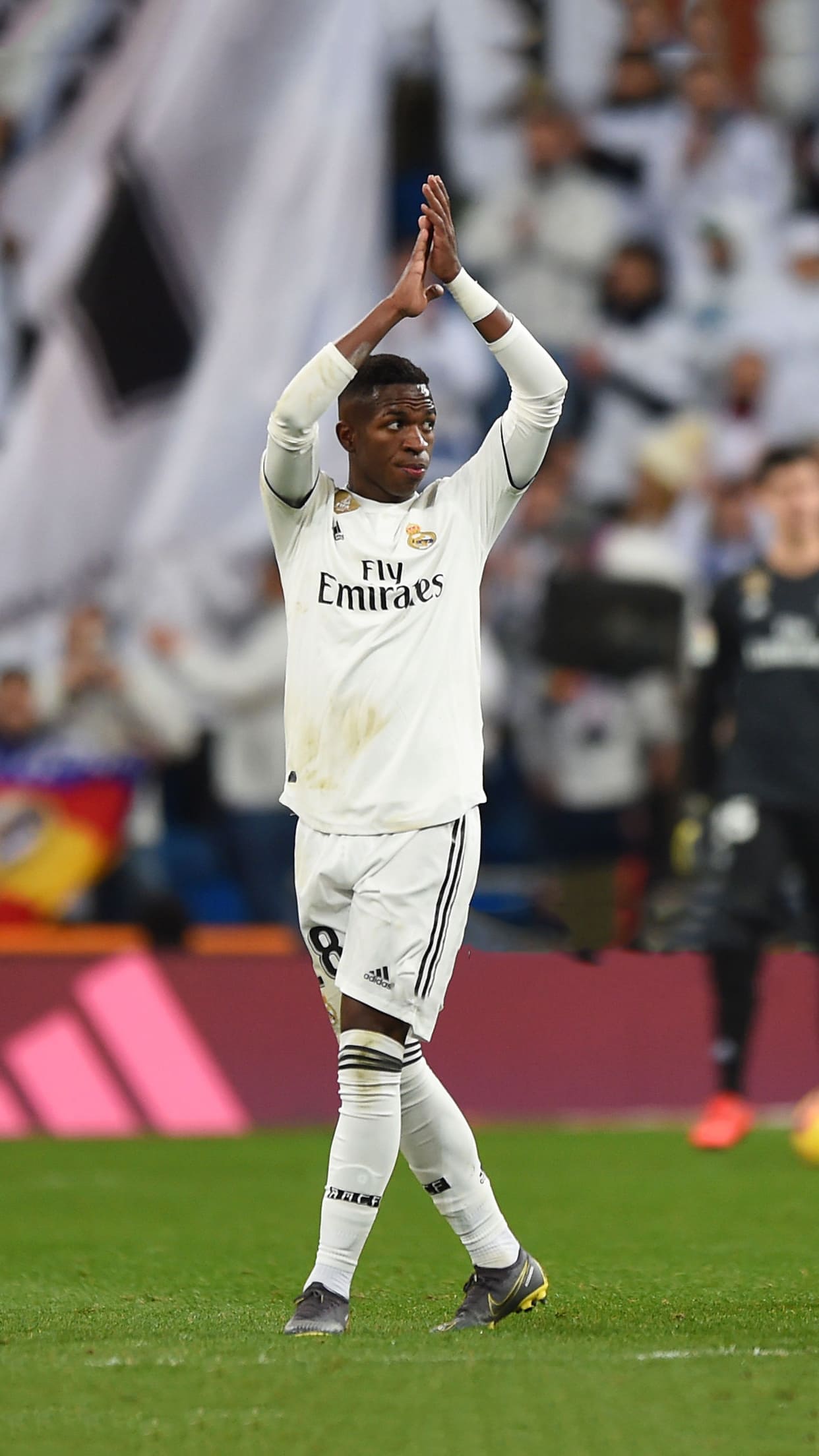 Vinicius Wallpapers