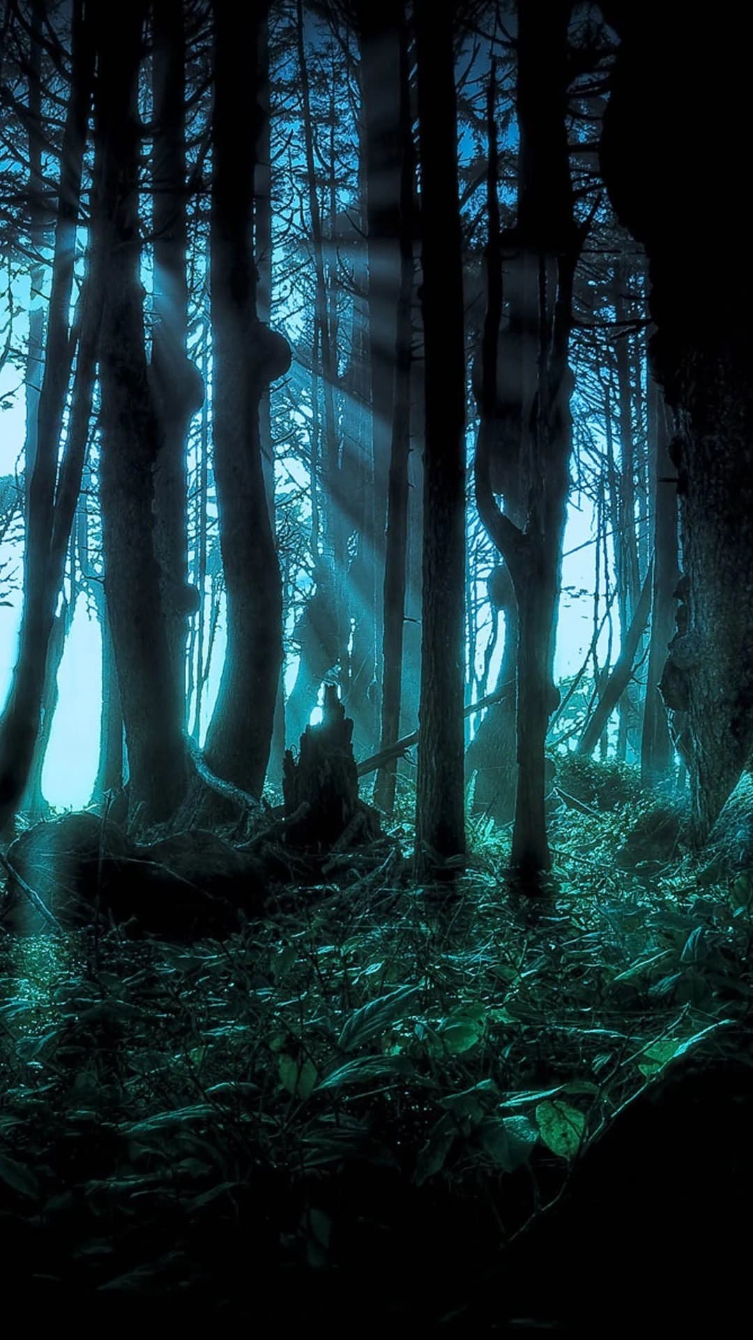 Dark Forest Wallpapers - TubeWP Dark Forest Wallpapers - TubeWP