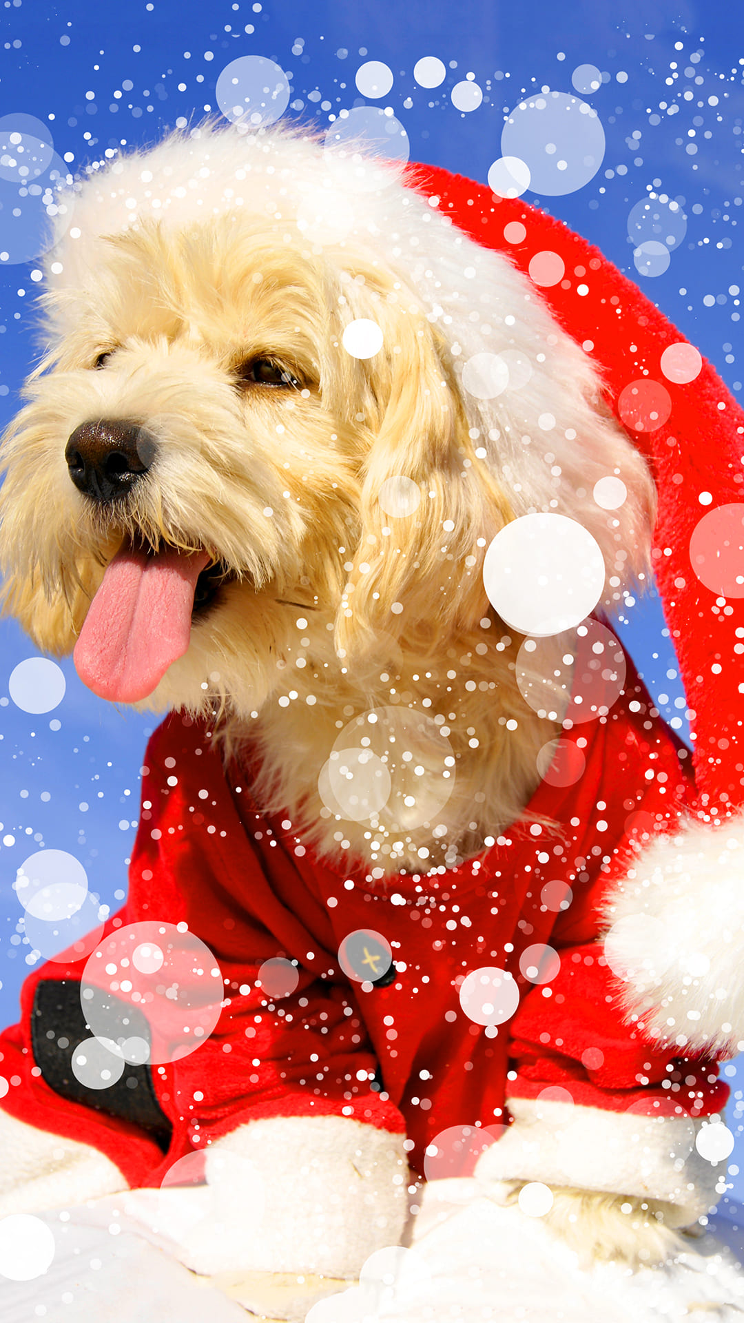 Christmas Animal Wallpapers