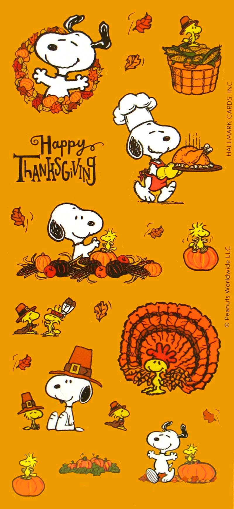 Happy Thanksgiving Wallpapers