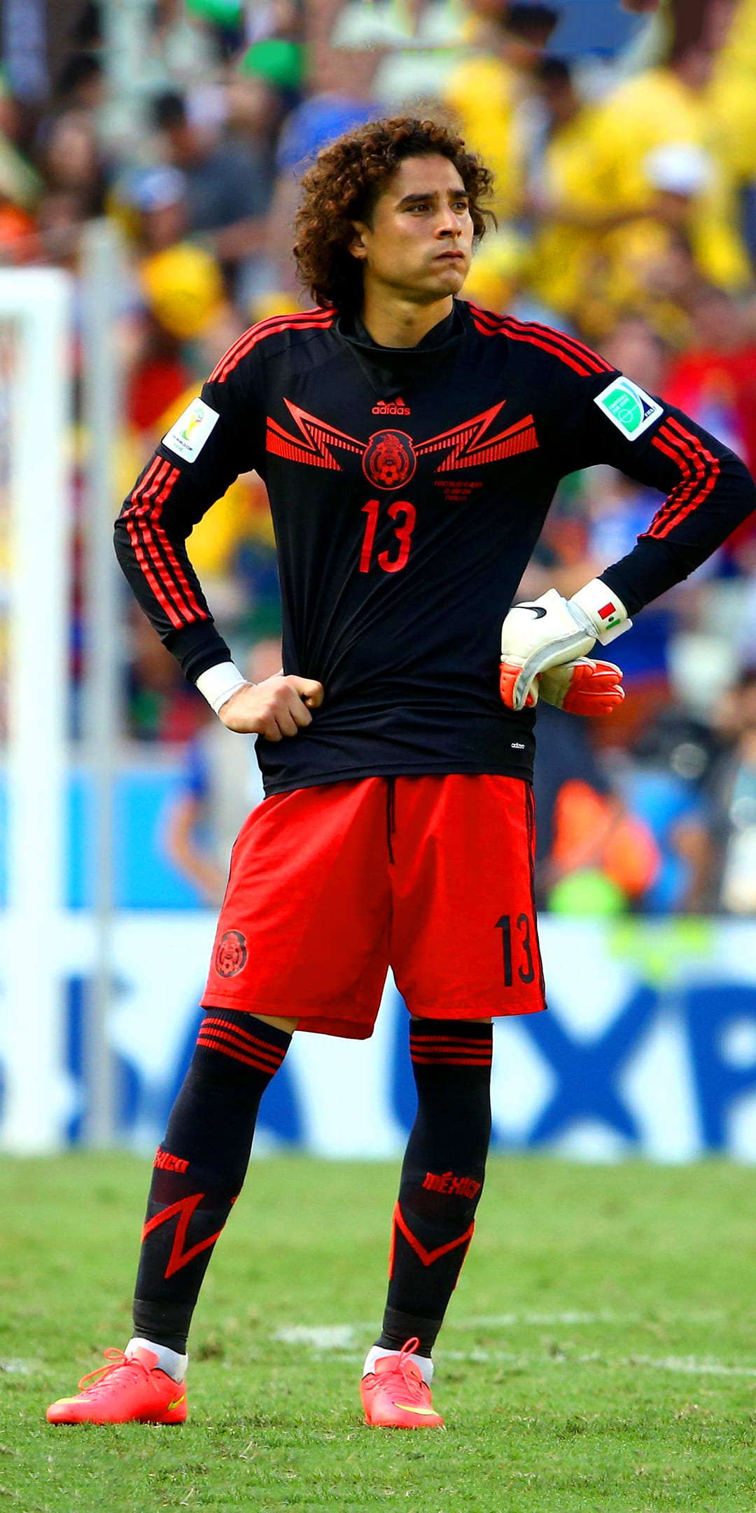 Ochoa Wallpapers