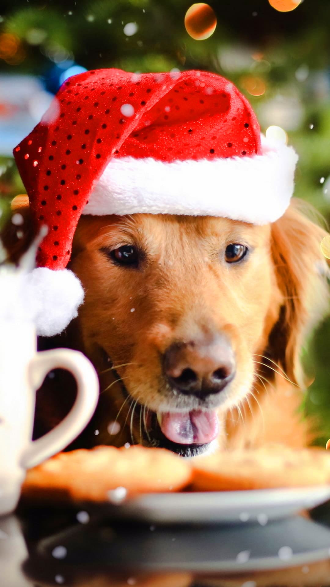 Christmas Dog Wallpapers