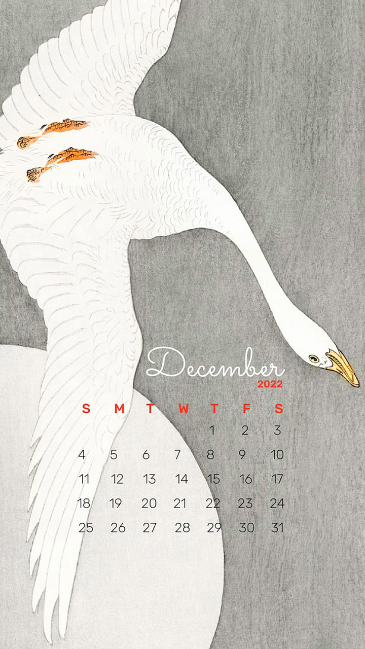 December Calendar 2022 Wallpapers