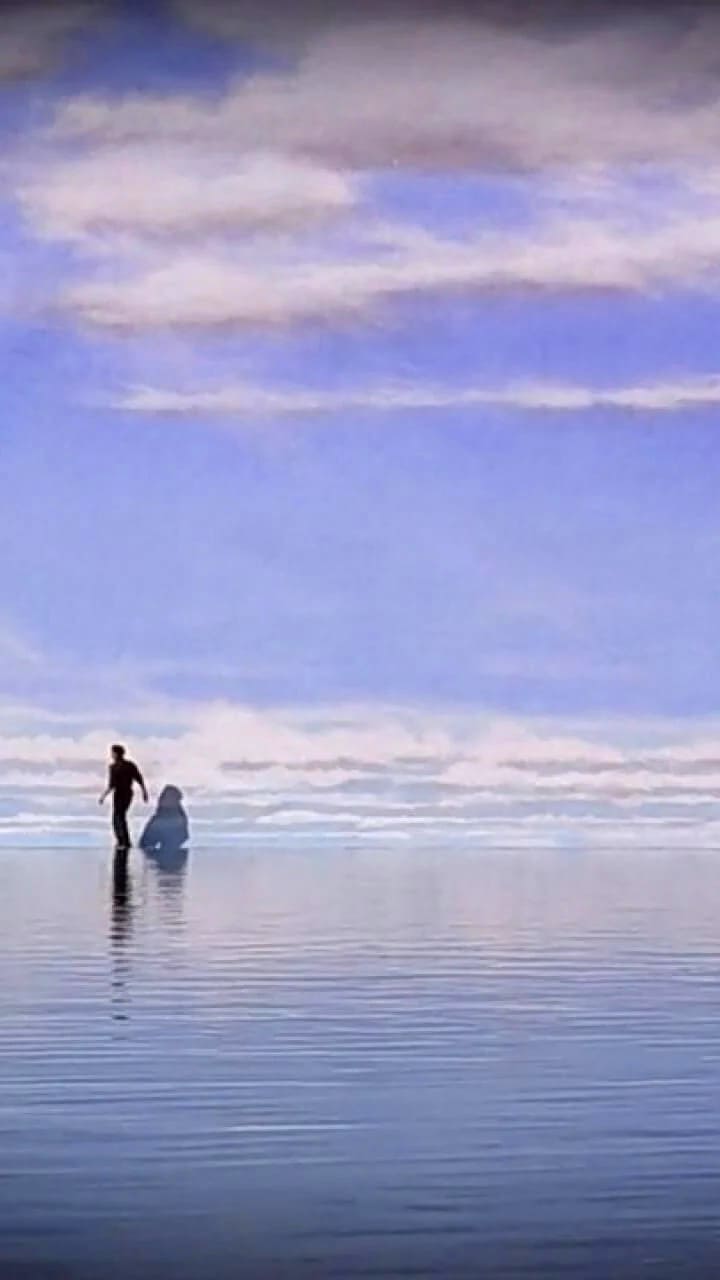 Truman Show Truman Movie Jim Show HD wallpaper  Peakpx