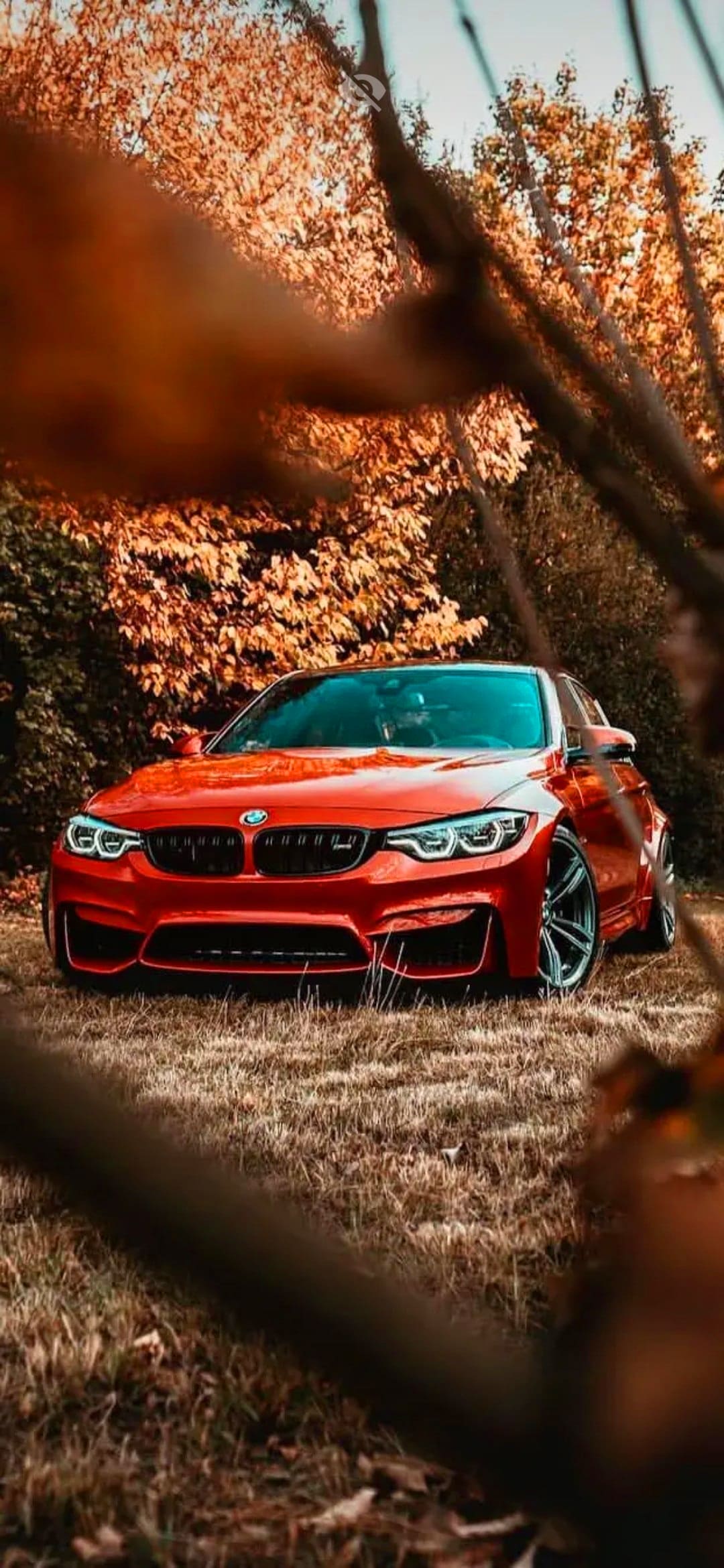 BMW M3 Wallpapers