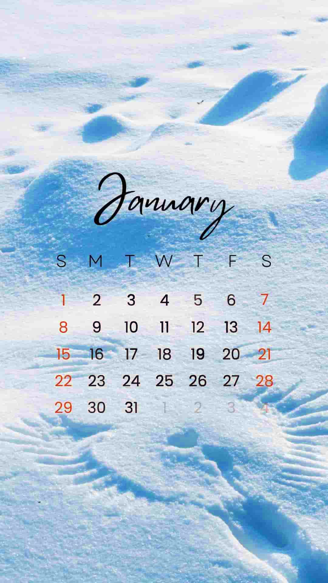 January 2023 Wallpapers