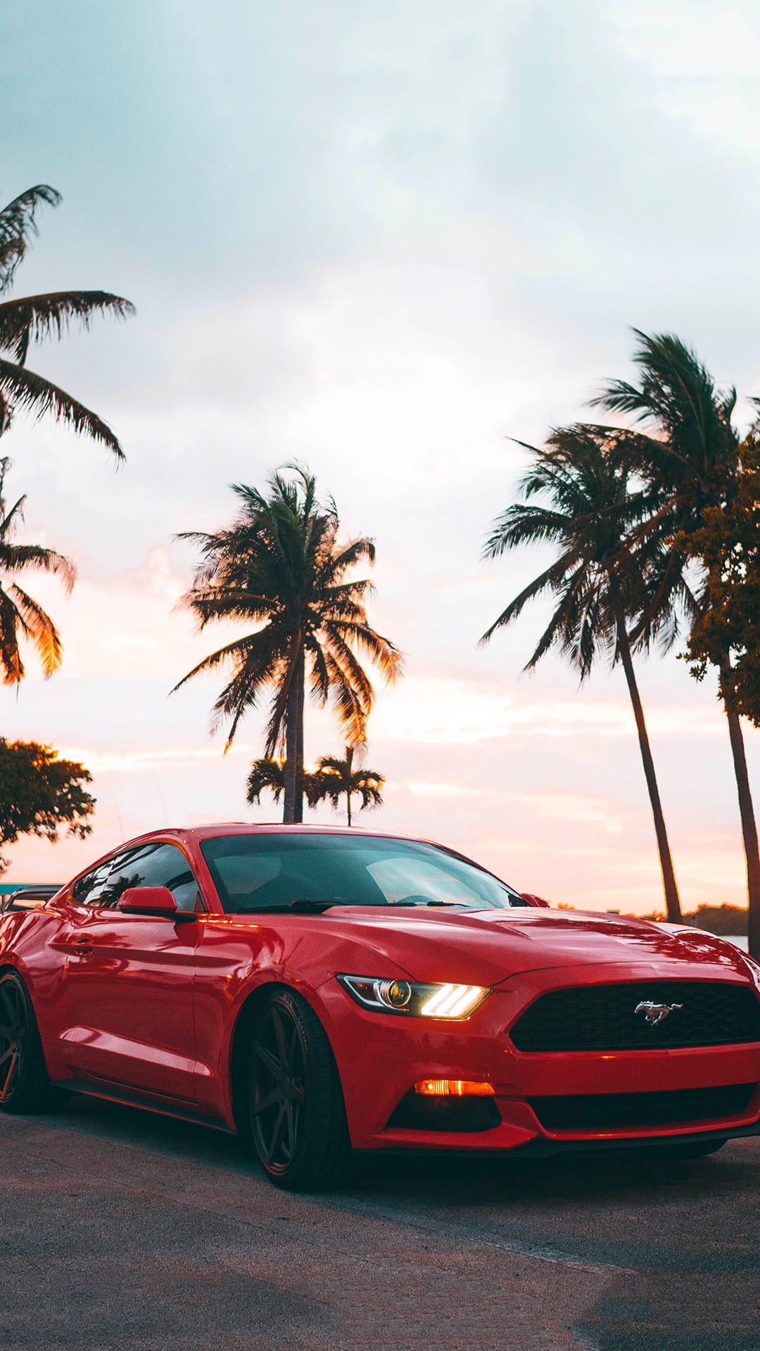 Mustang iPhone Wallpapers