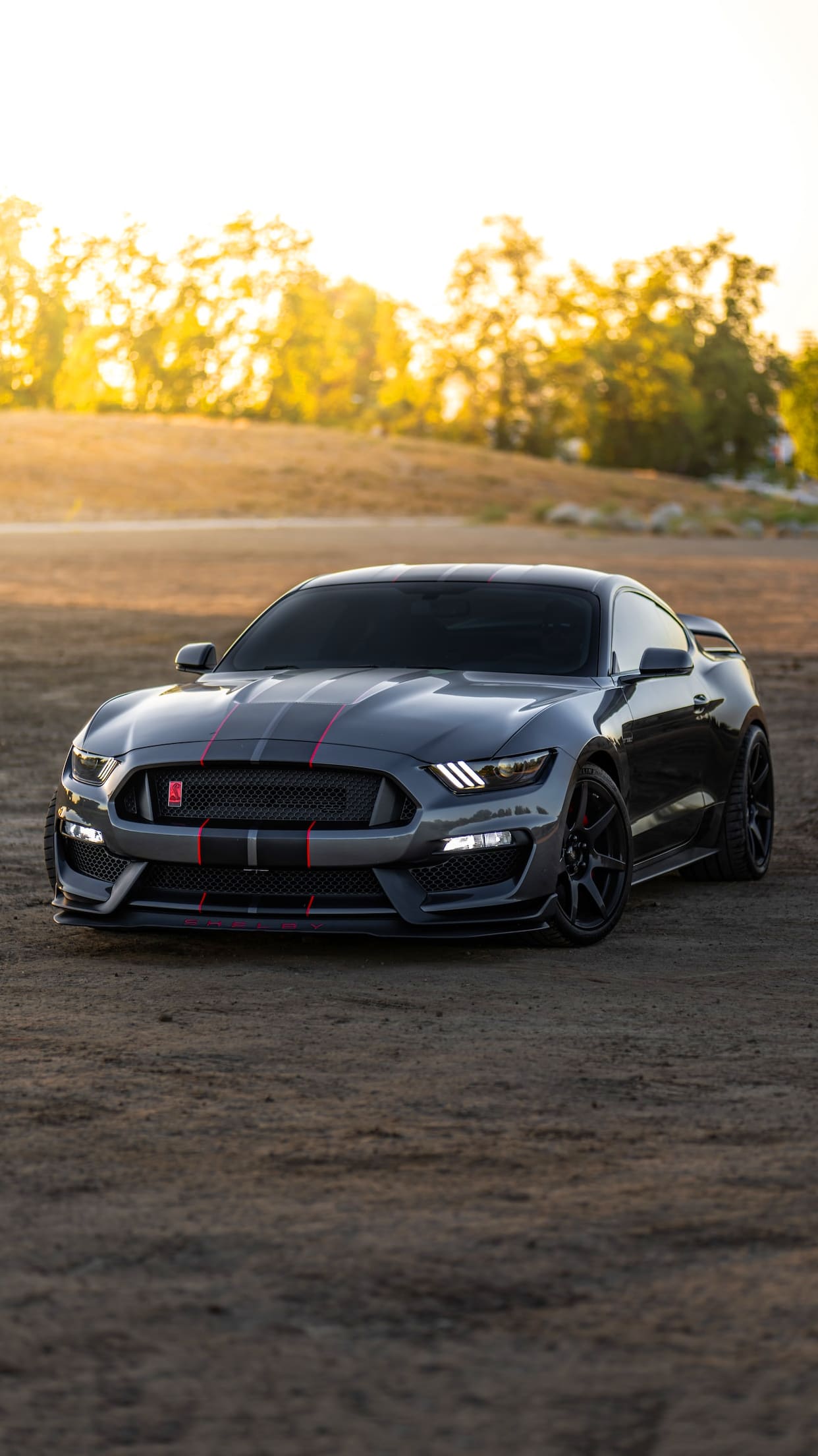 Mustang Shelby Wallpapers