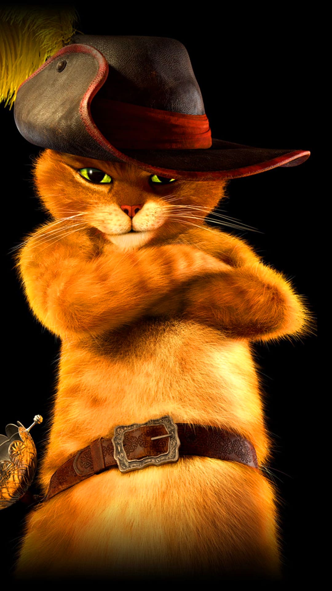 Puss In Boots Wallpapers