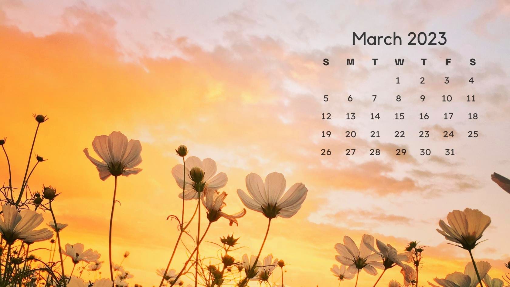 2023 March Calendar Wallpapers