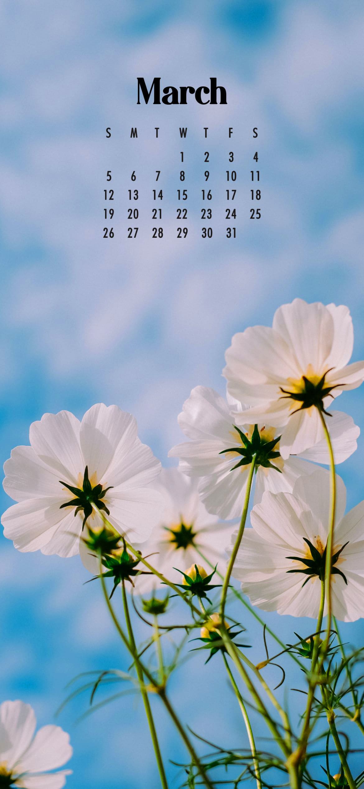 2023 March Calendar Wallpapers