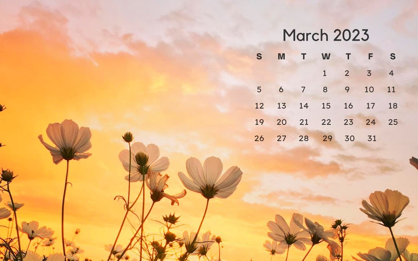 March 2023 Calendar Wallpapers