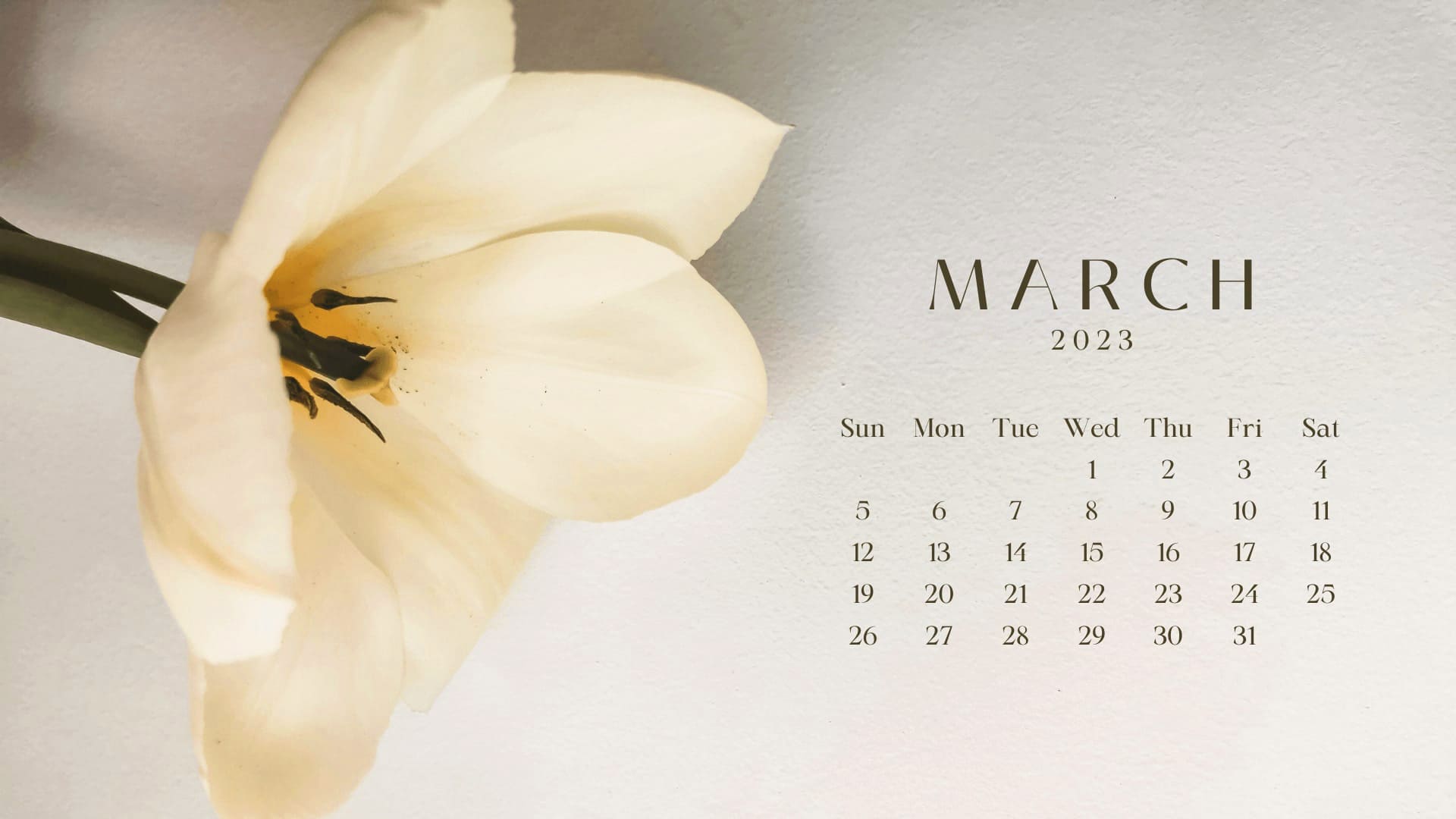 March 2023 Calendar Wallpapers