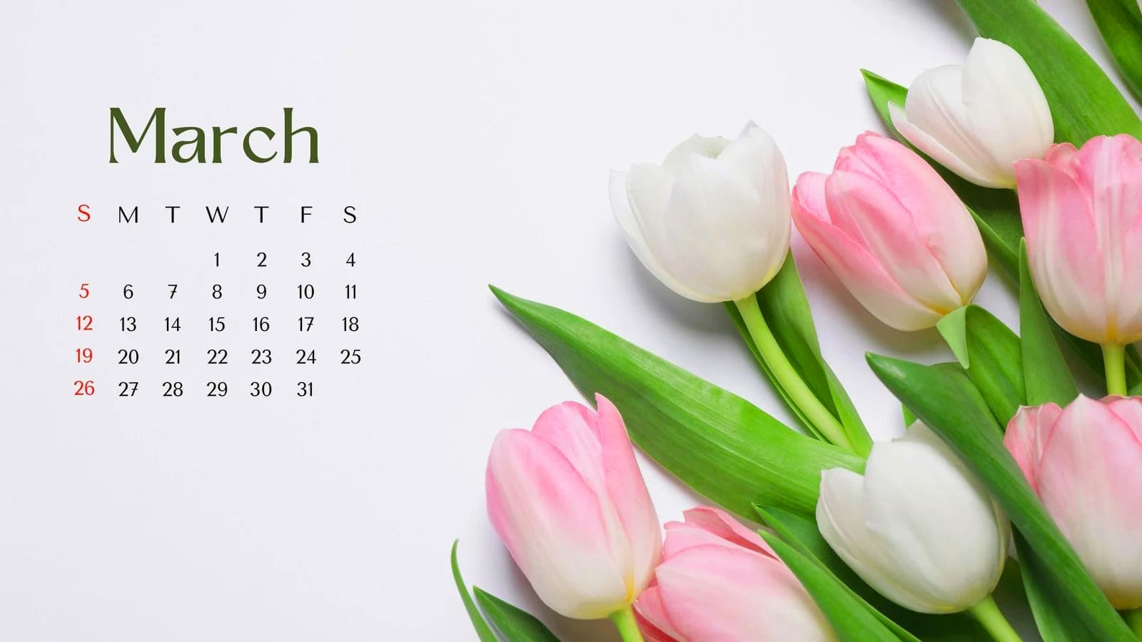 March 2023 Calendar Wallpaper  TubeWP