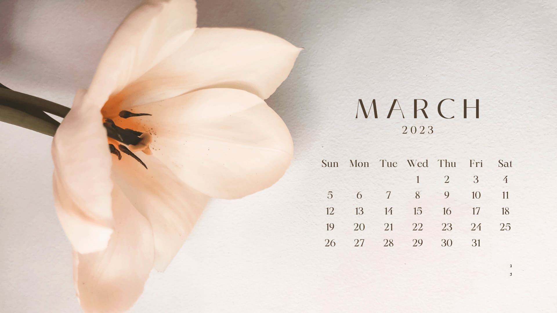 March Calendar 2023 Wallpapers