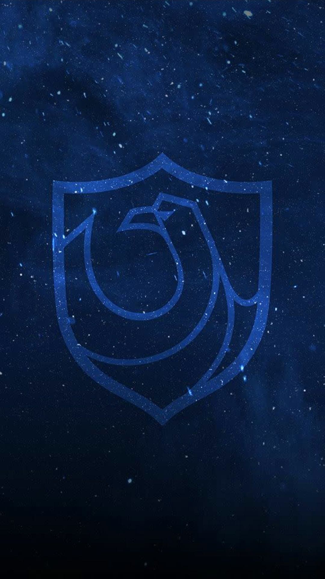 Ravenclaw iPhone Wallpapers