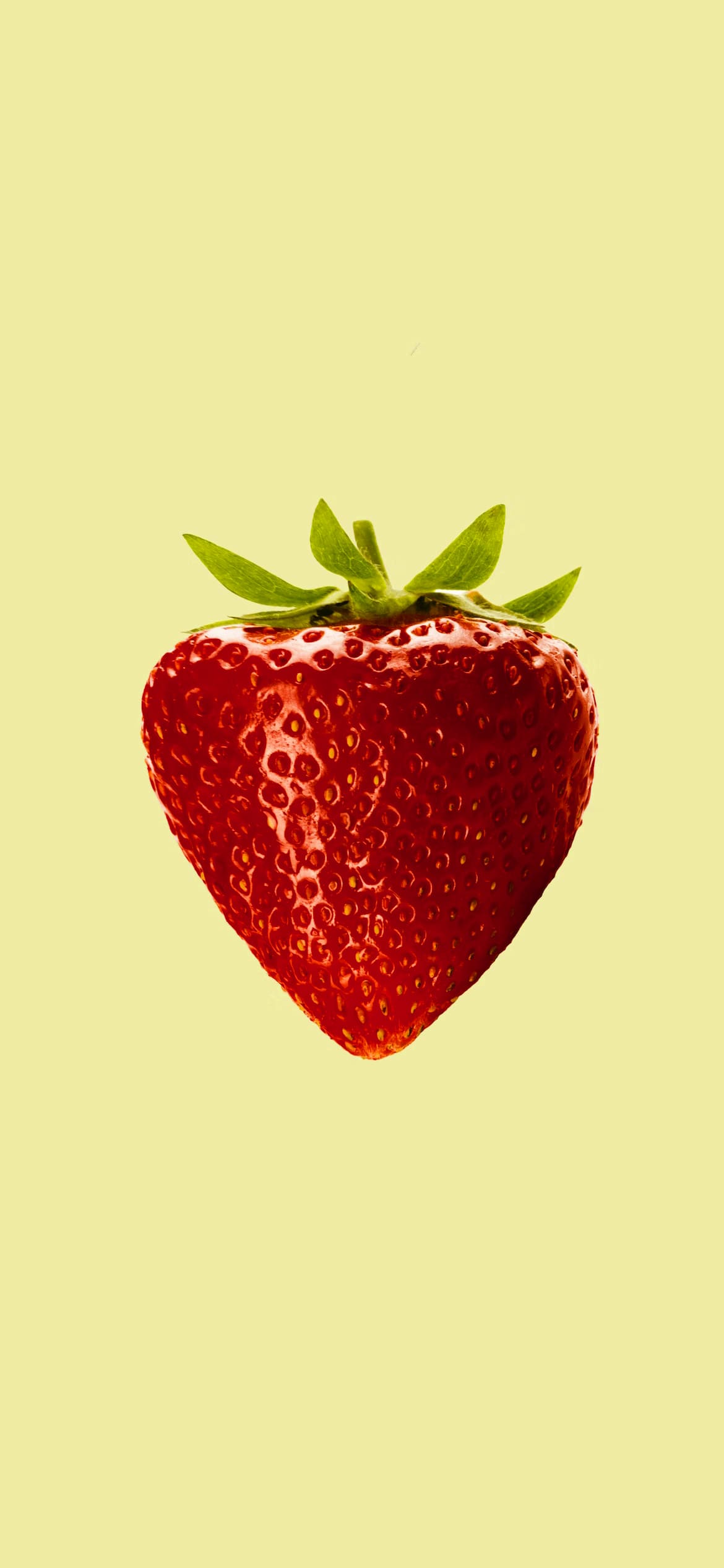 Cute Strawberry Wallpapers