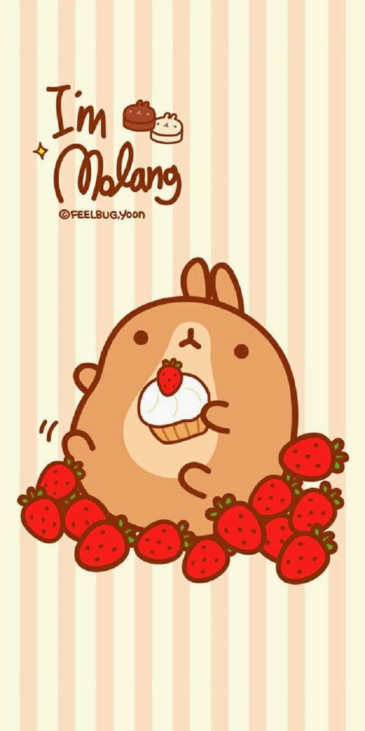 Molang iPhone Wallpapers