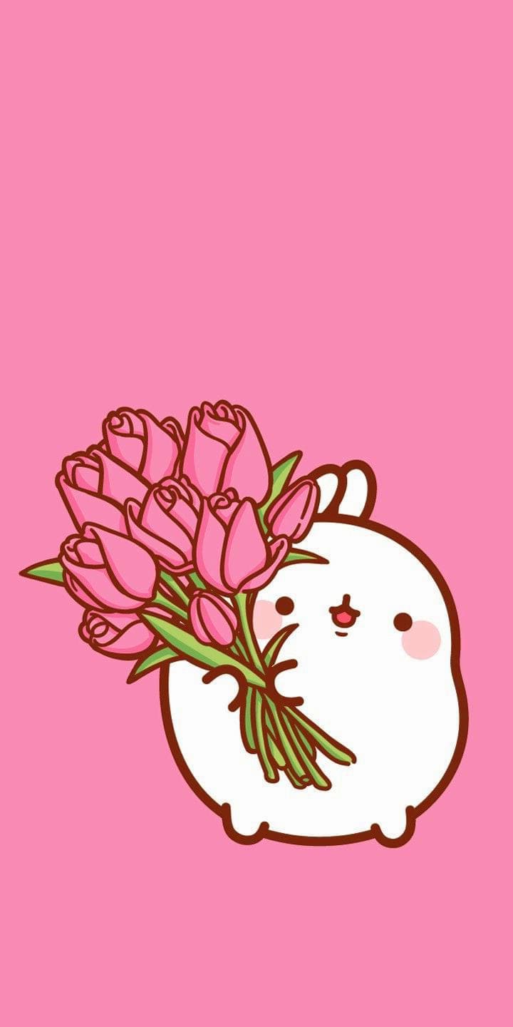 Molang Wallpapers