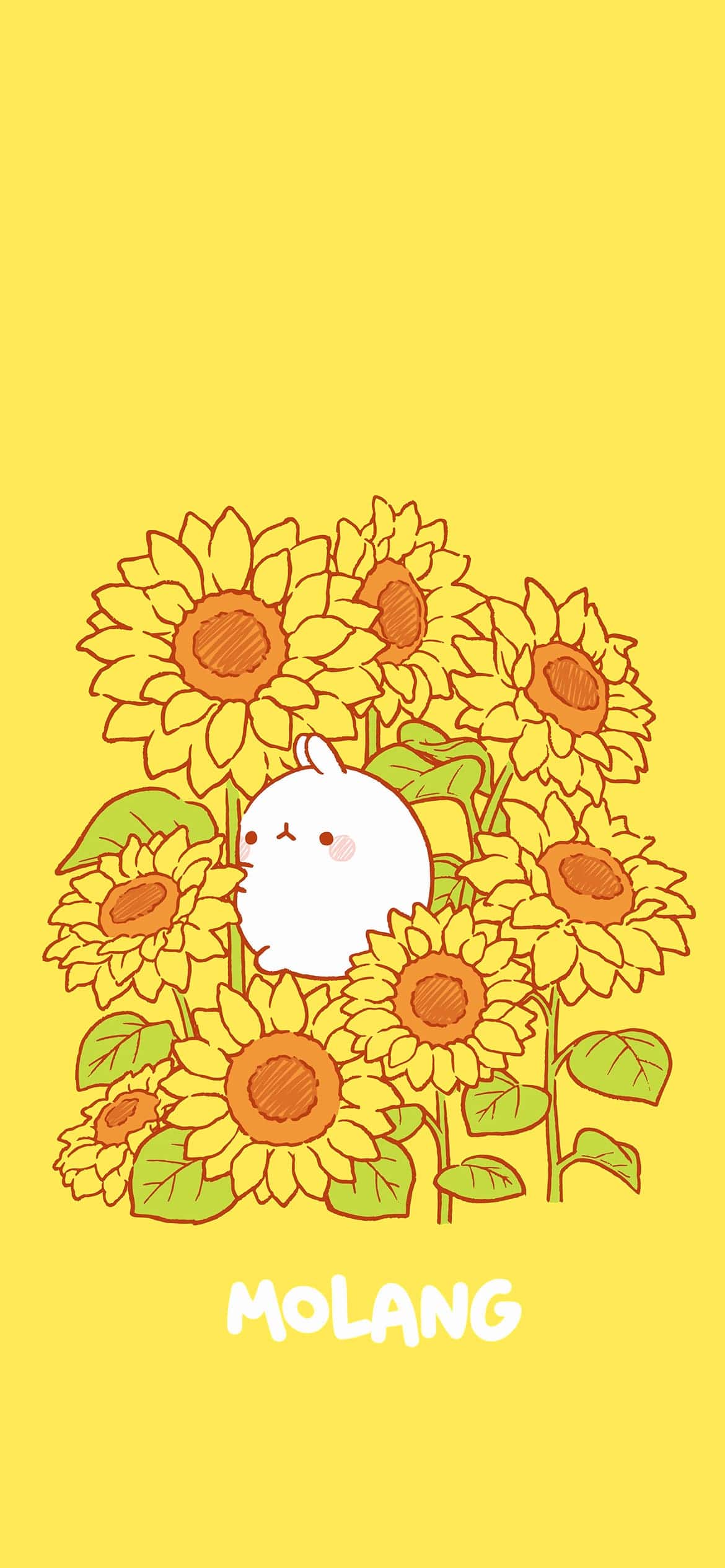 Molang kawaii HD phone wallpaper  Peakpx