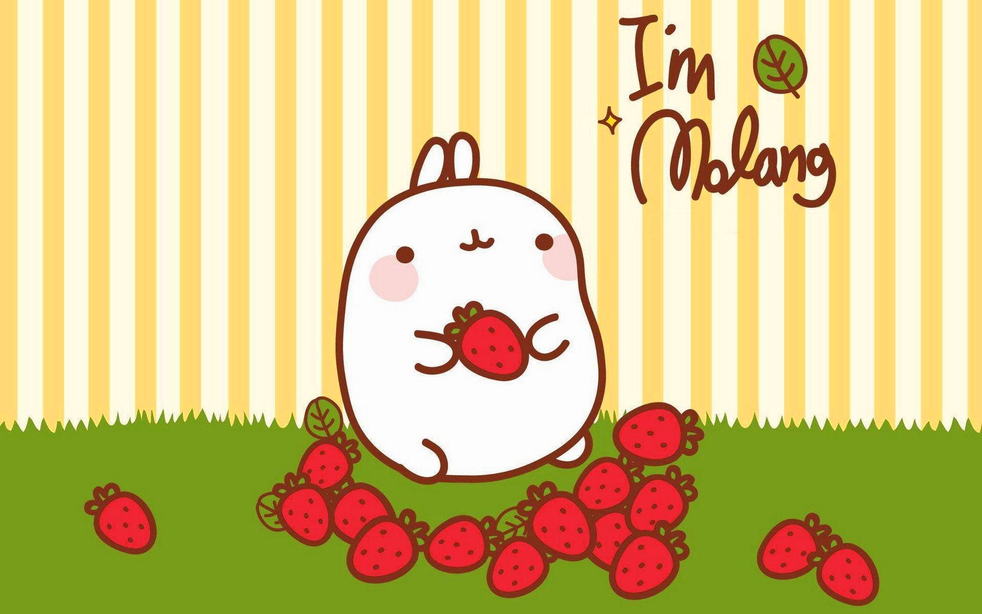 Molang Wallpapers