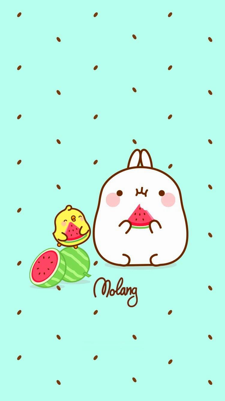 Molang Wallpapers