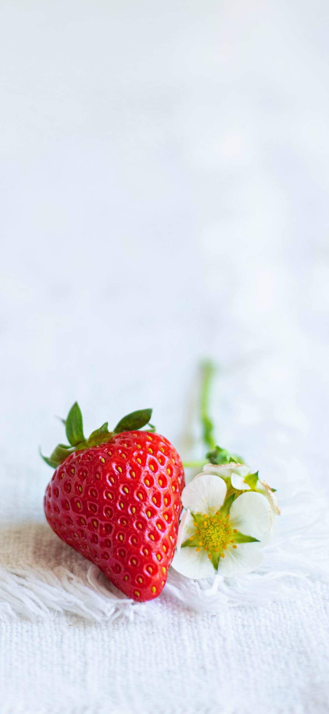 Strawberry Wallpapers