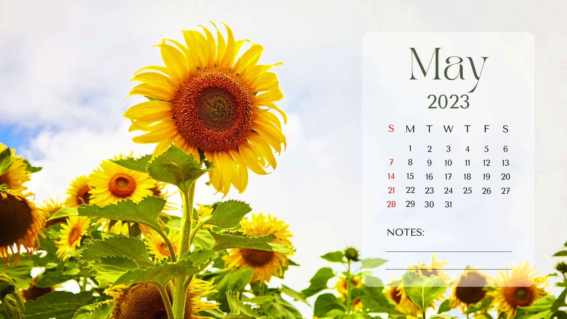 2023 May Calendar Wallpapers