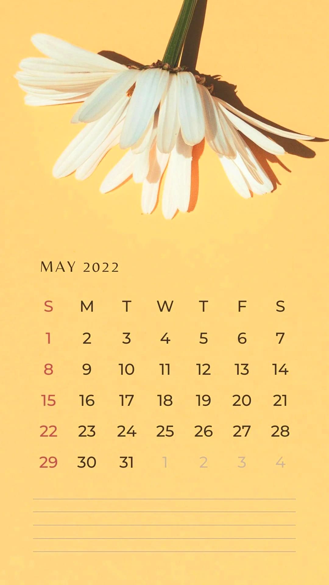 2023 May Wallpapers