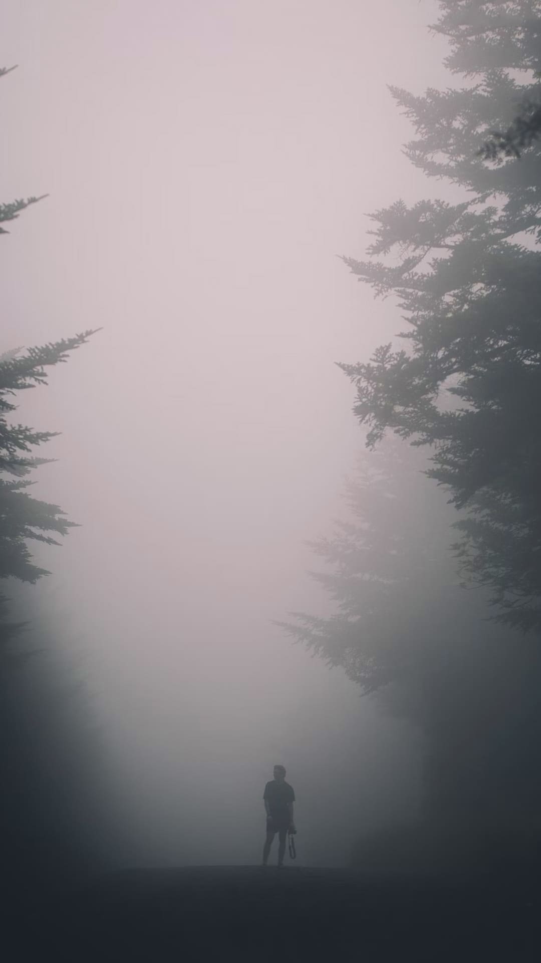 Fog Wallpapers