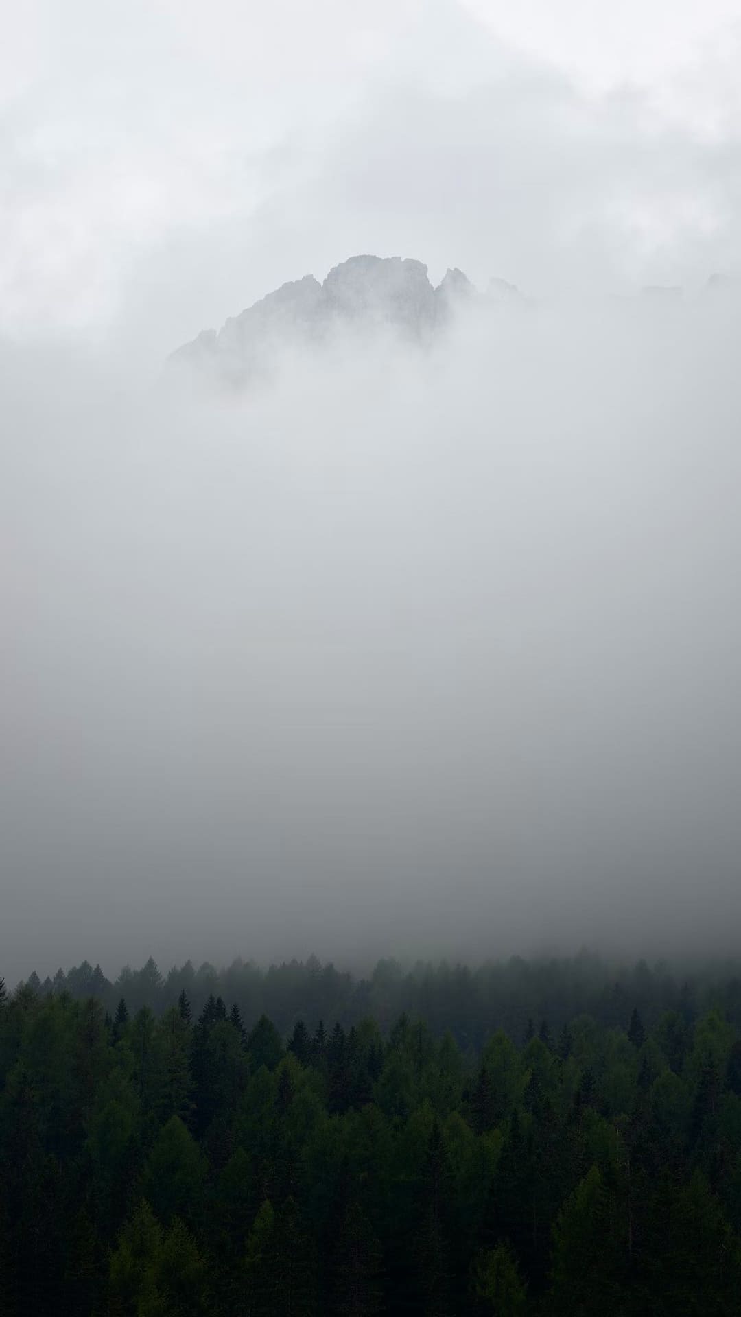 Fog Wallpapers