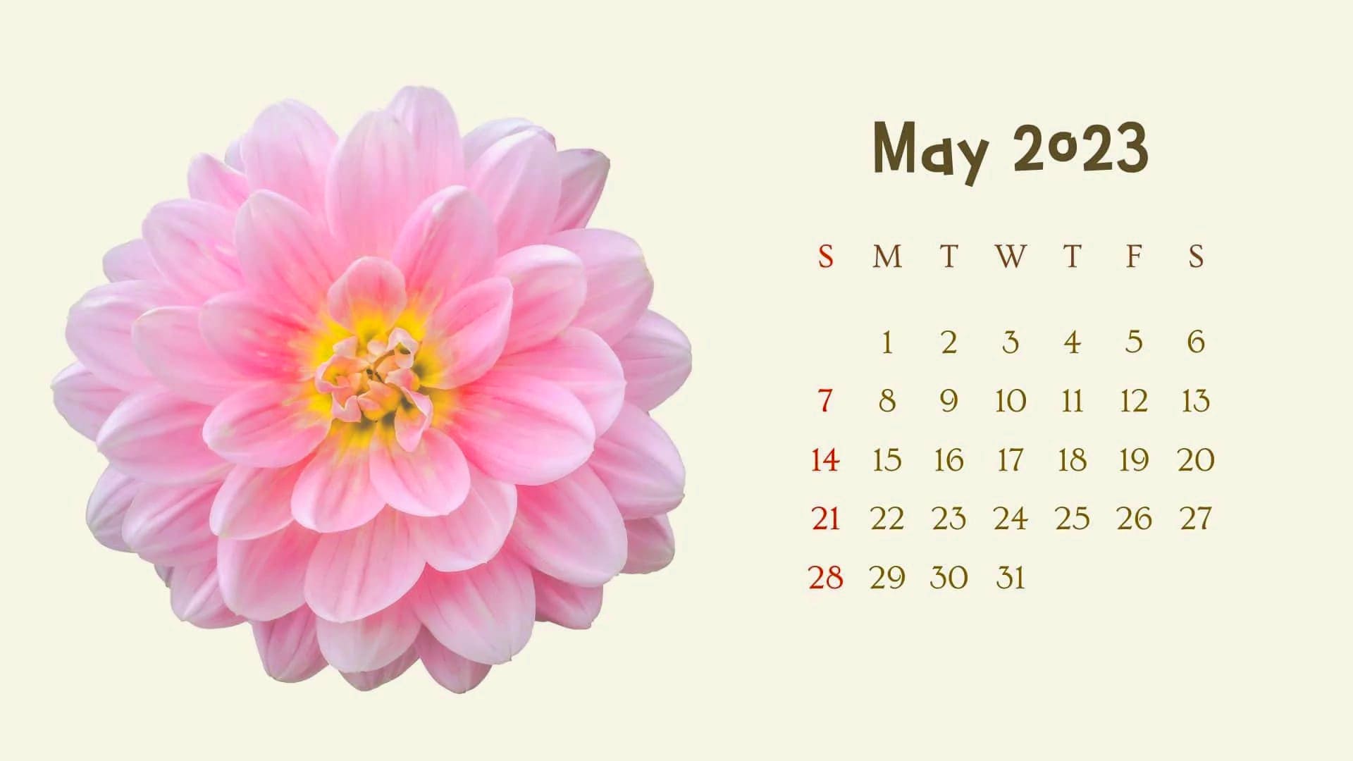 May Calendar 2023 Wallpapers